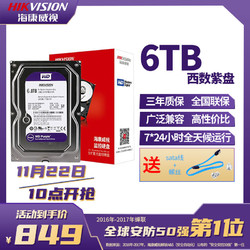 HIKVISION 海康威视 西数6tb监控硬盘机械硬盘WD紫盘