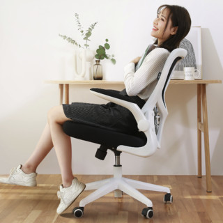 HBADA 黑白调 轻灵系列 HDNY163 人体工学电脑椅 冰岛白 标准款