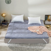 LOVO 乐蜗家纺 四季可用阻螨抑菌防滑床垫软垫榻榻米床垫床褥子床护垫