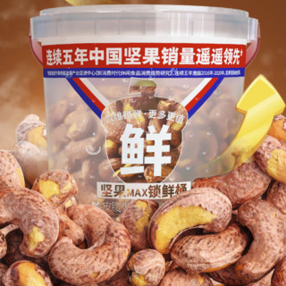 Three Squirrels 三只松鼠 紫皮腰果 500g