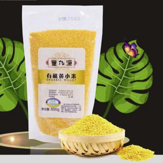 豐九源 有机黄小米 500g