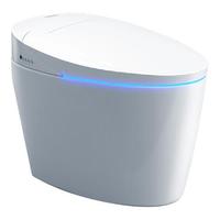 PHILIPS 飞利浦 AIB6309/93 智能坐便器 305mm坑距