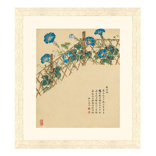 邹一桂 古典植物花卉水墨画《牵牛花图》42x47cm 宣纸 原木色实木框