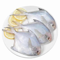 鲜活速冻银鲳鱼 1斤装