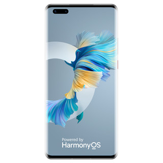 HUAWEI 华为 Mate 40 Pro 4G手机 8GB+256GB 秘银色