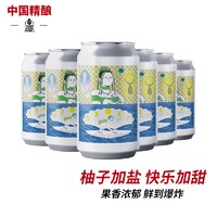 道酿 自由落体-潮汐韵律海盐柚子艾尔 精酿啤酒 酒精度3.3% 330ml*6罐
