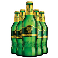 Augerta 奥古特 1903 青岛啤酒 330ml*24瓶