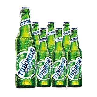 TUBORG 乐堡啤酒 精酿啤酒 495ml*6瓶