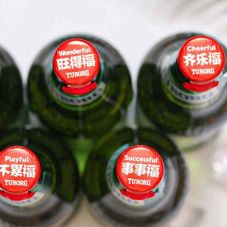 TUBORG 乐堡啤酒 精酿啤酒 495ml*6瓶