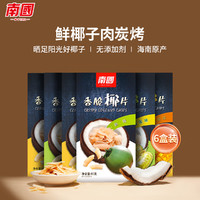 Nanguo 南国 香脆椰子片60g*6盒装 海南特产 休闲小吃零食