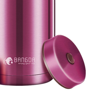 BANGDA 邦达 DFH11-C80 焖烧杯 800ml 紫色