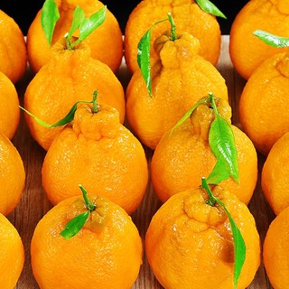 亿果争鲜 不知火丑橘 单果果径65-75mm 2.5kg