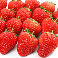 鲜姿 丹东99红颜奶油草莓  顺丰空运  单果20-30克 2斤