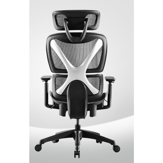 XY 双背联动人体工学椅（标准款）