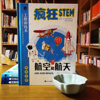 《疯狂STEM·工程和技术：航空和航天》