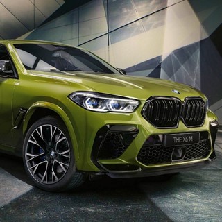 BMW 宝马 X6 M