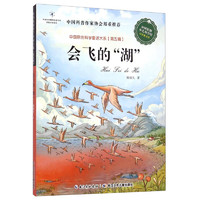 《中国原创科学童话大系·第五辑：会飞的“湖”》