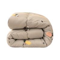 雅鹿 菠萝派对 印花暖绒秋冬被 150*200cm 3斤