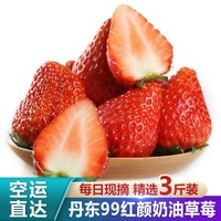 丹东99红颜奶油草莓现摘红颜草莓 新鲜水果 精选3斤装（防损保鲜家庭装）