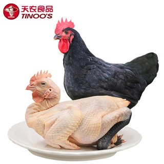 天农 岭南土鸡1kg 特色黑脚土鸡 出口供港品质 肉质爽滑鸡味浓