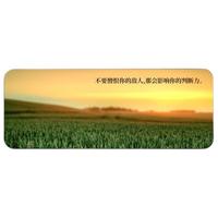 Langtu 狼途 LZ-SBD 鼠标垫 800x300x2mm 不要憎恨你的敌人
