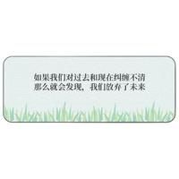 Langtu 狼途 LZ-SBD 鼠标垫 800x300x2mm 纠缠不清