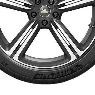 MICHELIN 米其林 PILOT SPORT 4ST 轿车轮胎 运动操控型 225/45ZR17 94Y