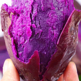 乡田优品 紫薯 单果300g 2.5kg
