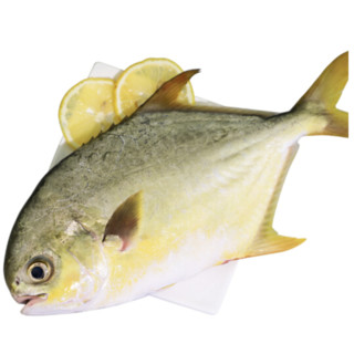 XIANBOHUI 鲜博汇 金鲳鱼 500-450g
