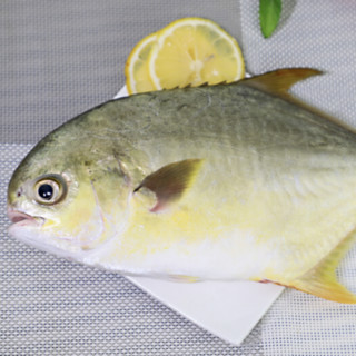 XIANBOHUI 鲜博汇 金鲳鱼 500-450g