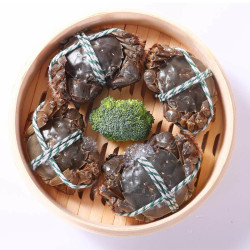 蟹爵大闸蟹公4548两2只母333两8只共10只