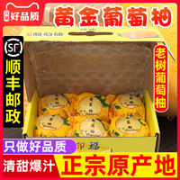 福建爆汁黄金葡萄柚5斤新鲜应季水果柚子福建品种甜西柚整箱包邮9