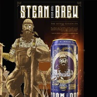 STEAM BREW 斯汀姆（STEAM BREW）小麦淡色艾尔精酿啤酒 500ml*6听德国原罐进口