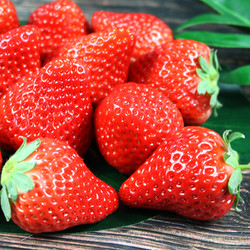鲜姿 丹东99红颜奶油草莓 单果20-30克 2斤