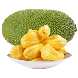 仙果岭 黄肉菠萝蜜 10-12.5kg