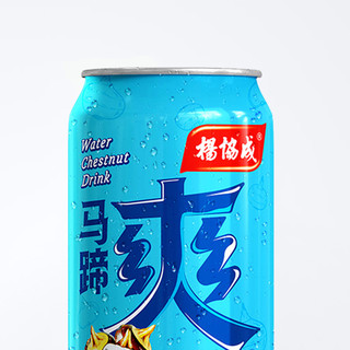 yeo's 杨协成 马蹄爽 荸荠饮料 300ml*6听