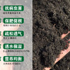 花土有机营养土种菜养花专用花盆栽通用型家用种植土泥土多肉土壤