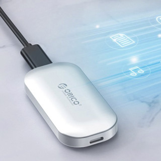 ORICO 奥睿科 iMatch系列 IV300 USB 3.1 移动固态硬盘 Type-C 1TB 简约银