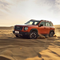 HAVAL 哈弗 大狗 21款 1.5T 双离合 两驱 边牧-旺财版