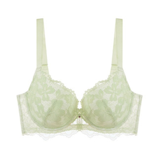 商品candylavie奶糖派爱丽丝系列女士有钢圈文胸c030木瓜杯款