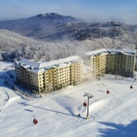 亚布力亚布洛尼酒店 雪景大床房1晚（含早+亚布力通滑全天高山滑雪门票+双人全套滑雪装备等）