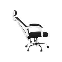 Hbada 黑白调 HDNY132 人体工学电脑椅 白色 标准款