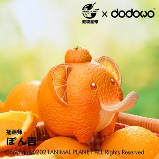 dodowo 朵朵窝 动物星球 水果精灵系列 橙象