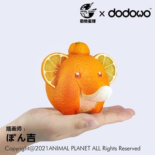 dodowo 朵朵窝 动物星球 水果精灵系列 橙象