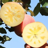 唐鲜生 红富士苹果 15-18枚大果 10斤