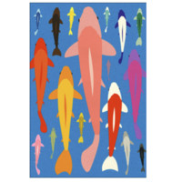 PICA Photo 拾相记 罗西·法伊斯特 Rosi Feist《锦鲤》28x33cm 艺术纸 合金框