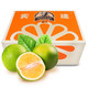 PLUS会员：实建褚橙 励志橙 优级L 10斤礼盒装