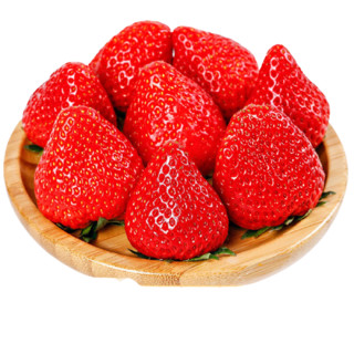 fangsheng 方盛 99红颜奶油草莓 1.5kg