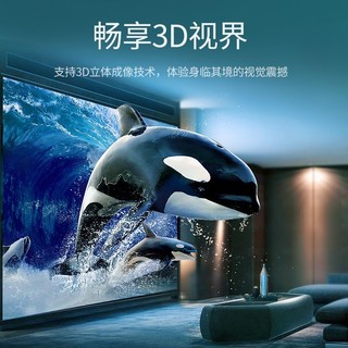 绿联（UGREEN）HDMI线 长线工程级 4K数字高清线3D视频线HDMI2.1 锌合金款 圆线 1米 70322