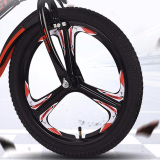 PHOENIX 凤凰 儿童自行车 一体轮单速款 22寸 黑红色